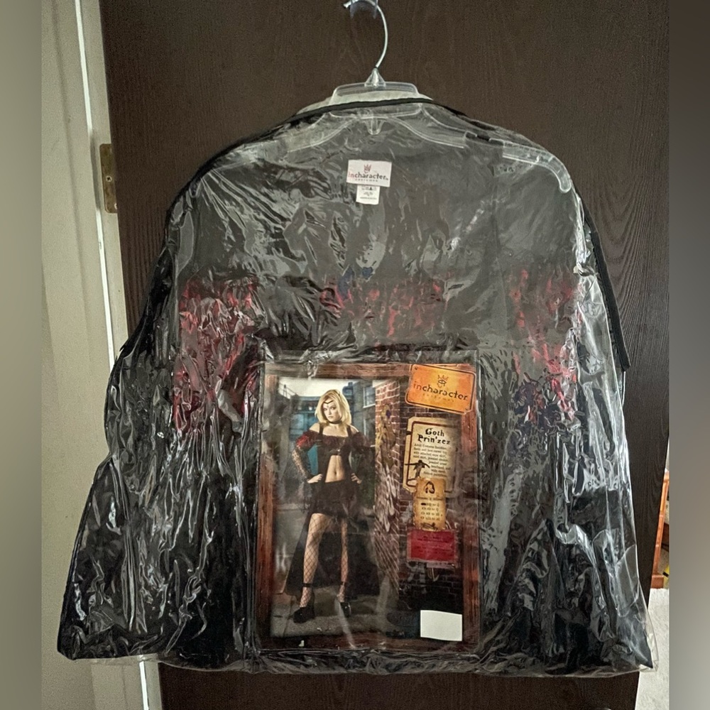Goth Prin’zez (vampire) Halloween Costume - Picture 16 of 16